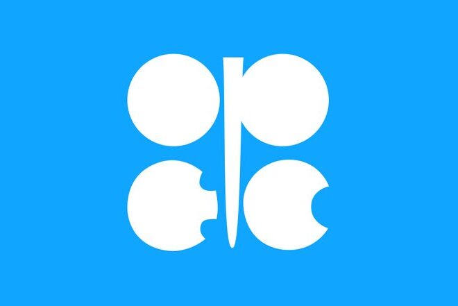OPEC Internship 2025