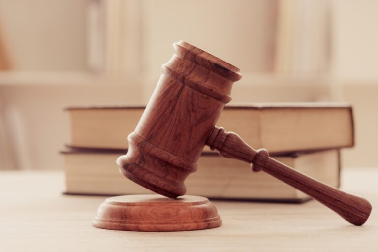 The 2025 Judicial Fellowship Program in the USA